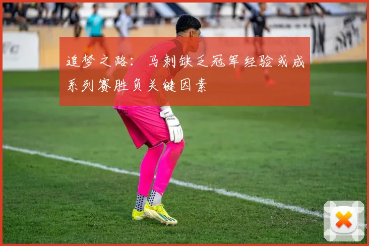 追梦之路：马刺缺乏冠军经验或成系列赛胜负关键因素